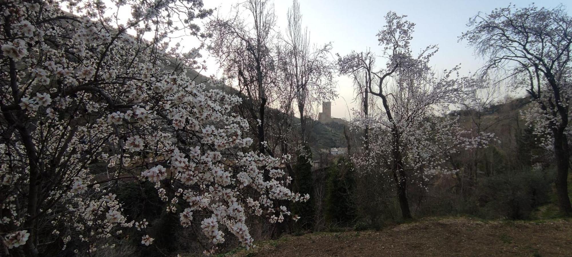 Alojamientos Puerta Del Parque Cazorla Pokoj fotografie