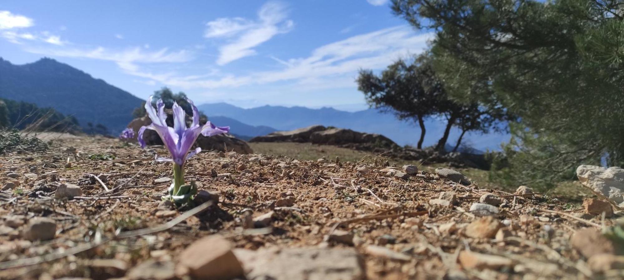 Alojamientos Puerta Del Parque Cazorla Pokoj fotografie